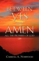 Between Yes and Amen 1600349447 Book Cover