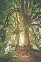 Tales Fireside Told: Confessions of a Dissectional Poet B0C5PCXB1X Book Cover