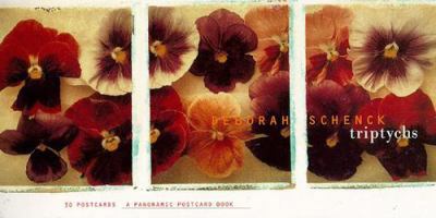 Triptychs: A Panoramic Postcard Book: 30 Postcards 0811820017 Book Cover