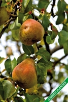 Garden Planner: Ripe pears. Format A5, 120 pages, fine grey lined. Journal, diary, notebook and garden planner for everything that happens in the garden throughout the year. 1706233876 Book Cover