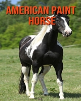 American Paint Horse: Amazing Facts & Pictures B08KH3RZVN Book Cover