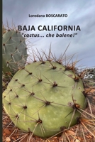 BAJA CALIFORNIA, cactus... che balene! (VadoInGiro) (Italian Edition) B0F3HCSM7X Book Cover