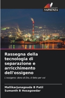 Rassegna della tecnologia di separazione e arricchimento dell'ossigeno: L'ossigeno: dono di Dio, è fatto per voi 6205956373 Book Cover