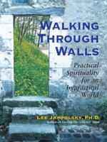 Walking Through Walls: Practical Spirituality in an Impractical World 1587612186 Book Cover