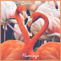 Flamingo 2022 Calendar: 12 Month Calendar for Flamingo's Lover B08YCV1QKP Book Cover