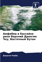 Амфибии в бассейне реки В 6205559315 Book Cover