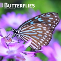 Butterflies 2026 12 X 24 Inch (Hanging) Monthly Square Wall Calendar Plastic-Free B0DYL4YDH9 Book Cover