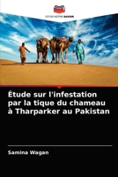 Étude sur l'infestation par la tique du chameau à Tharparker au Pakistan 6203659258 Book Cover