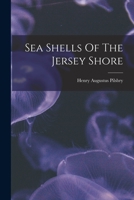 Sea Shells Of The Jersey Shore 3337391907 Book Cover