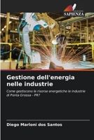 Gestione dell'energia nelle industrie (Italian Edition) 6207971418 Book Cover