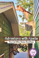 Adventures with Apollo: The Cat Who Rules Rooftops B09BGM1W14 Book Cover