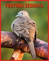 Tortora Zebrata: Immagini bellissime e fatti interessanti Libro per bambini sui Tortora Zebrata B08XLGGCVY Book Cover