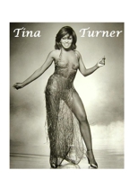 Tina Turner: The Untold Story 1447659724 Book Cover