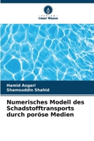 Numerisches Modell des Schadstofftransports durch poröse Medien (German Edition) 6208452473 Book Cover