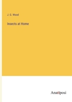 Insects at Home 1174994630 Book Cover