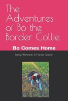 The Adventures of Bo the Border Collie: Bo Comes Home B0C9SF8MFC Book Cover