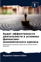 Аудит эффективности дея& 6203482463 Book Cover