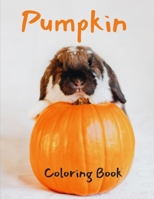 Pumpkin Coloring Book: Halloween Coloring Book for Kids - Thanksgiving Coloring Book B08L2G7RWQ Book Cover