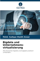 Bigdata und Unternehmens- virtualisierung: Alle physischen Aspekte und Aufgaben praktisch umwandeln... 6206323013 Book Cover