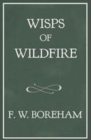 Wisps of Wildfire 1521753962 Book Cover