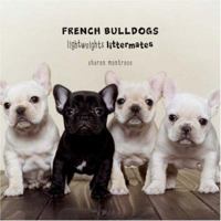 French Bulldogs: Lightweights Littermates 1584796359 Book Cover