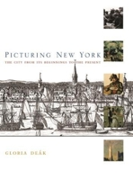 Picturing New York 0231107285 Book Cover