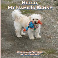 Hello, My Name Is Benny 1548593079 Book Cover