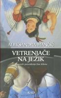 Vetrenjače na jezik: dnevnik prevođenja Don Kihota 8609009041 Book Cover