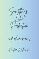 Something Like Perfection 1036972267 Book Cover