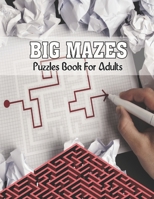 Big Mazes Puzzles Book For Adults: Tons of Challenge and Fun for your Brain Star - Double - Quad Mazes Books - Gift Idea For Birthday, Anniversary, Ho B08S2VT2XJ Book Cover