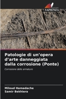 Patologie di un'opera d'arte danneggiata dalla corrosione (Ponte) 6630237196 Book Cover