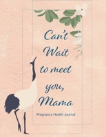 Pregnancy Health Journal: 280 Daily Spreads for 40 Weeks, to Help You Maintain Physical, Nutritional, and Mental Health During Pregnancy, Makes a ... Coworker, Can’t Wait to Meet Mama, Pink Cover 1699703116 Book Cover