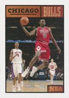 The Story of the Chicago Bulls 1583414029 Book Cover