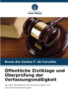 Öffentliche Zivilklage und Überprüfung der Verfassungsmäßigkeit (German Edition) 6208406870 Book Cover