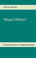 Wozu? Wohin?: Dreisprung-Reime mit doppeltem Boden 3839155797 Book Cover