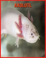 Axolotl: Immagini incredibili e fatti sui Axolotl B08W7SQ8QF Book Cover