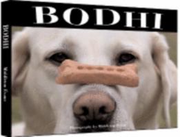 Bodhi: The All American Lodge Dog 0977805530 Book Cover