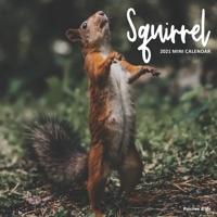 Squirrel: 2021 Mini Wall Calendar B08PM25NTD Book Cover