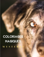Coloriages Magiques - Mystères: Coloriages mystères Animaux mystères - Livre De Coloriage Pour Adultes (French Edition) B08HQ1RK6T Book Cover