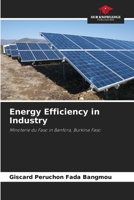Efficienza energetica nell'industria: Minoterie du Faso a Banfora, Burkina Faso 6206114201 Book Cover