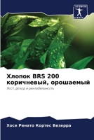 Хлопок BRS 200 коричневый, орошаемый: Рост, доход и рентабельность 6205947560 Book Cover
