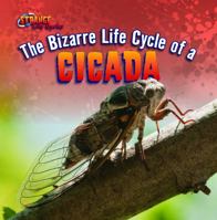The Bizarre Life Cycle of a Cicada 1433970392 Book Cover