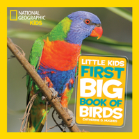 National Geographic Kids: Mon Grand Livre d'Oiseaux 1426324324 Book Cover
