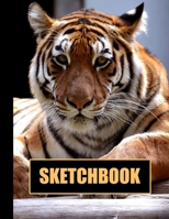 Sketchbook: Tiger Cover Design - White Paper - 120 Blank Unlined Pages - 8.5" X 11" - Matte Finished Soft Cover 1704368812 Book Cover
