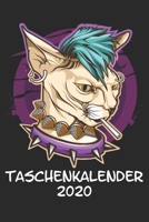 Taschenkalender 2020: Taschenkalender f�r Sept. 2019 bis Dezember 2020 A5 Terminplaner Wochenplaner Terminkalender Wochenkalender Organizer mit Punk Punker Katze K�tzchen 1692826220 Book Cover