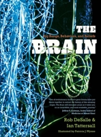The Brain: Big Bangs, Behaviors, and Beliefs 0300175221 Book Cover