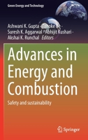 Advances in Energy and Combustion: Safety and sustainability 9811626472 Book Cover