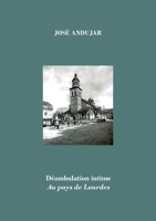 Déambulation intime au pays de Lourdes (French Edition) 2322572195 Book Cover