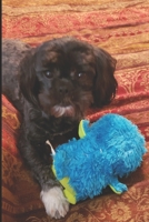 I've Got BIG Plans: 2020 Planner 1673767397 Book Cover