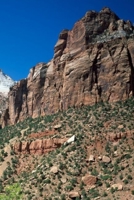 National Parks Road Trip: United States National Parks Checklist by State with Event Pages to Log Your Park Visits Hikes Photos Souvenirs 1711823910 Book Cover